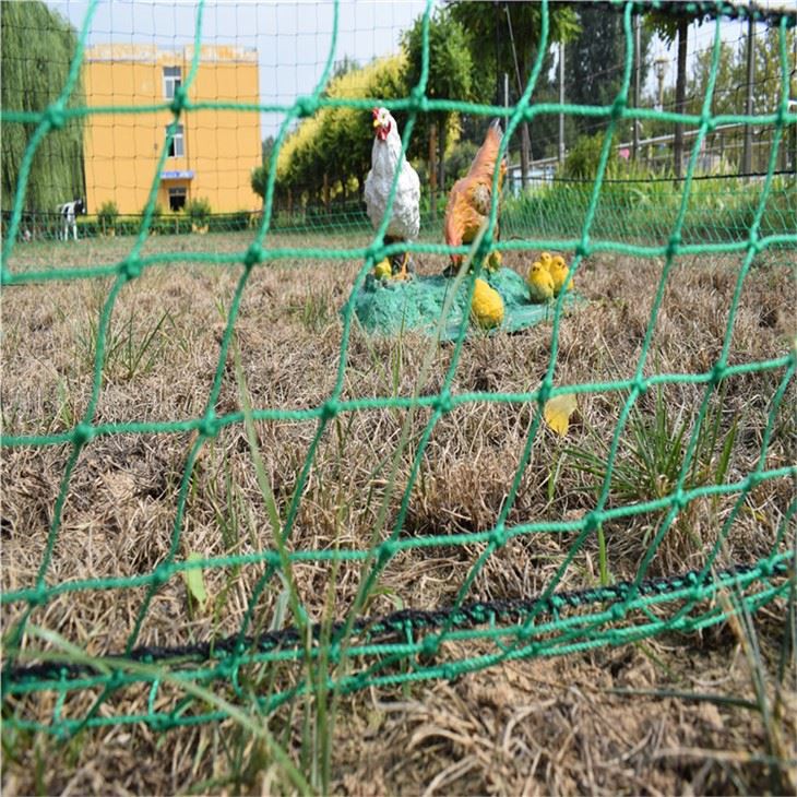 Chicken Netting In Large Specification