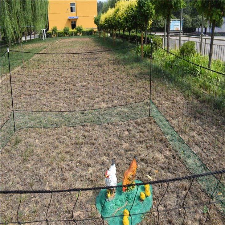 Chicken Wire Netting