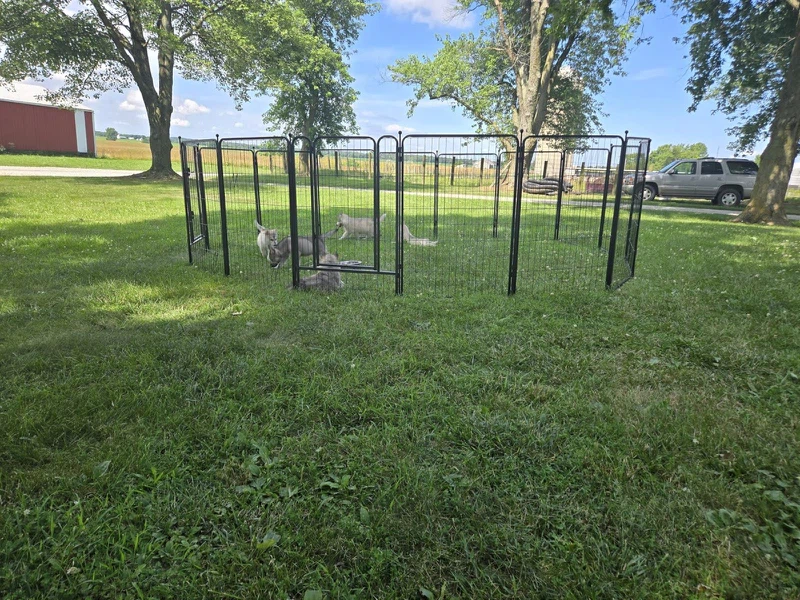 40 inches dog playpen 40 inches dog playpen
